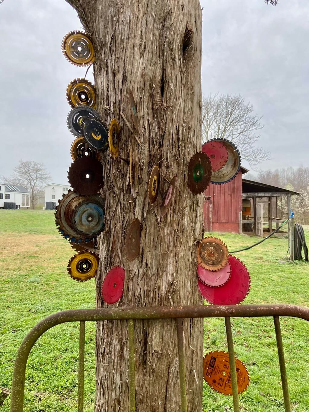 That’s not a tree. Now, that’s a tree!