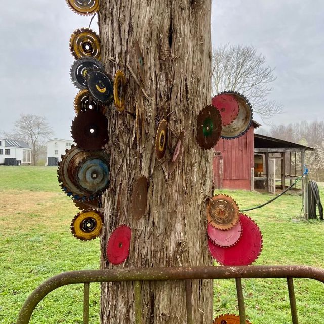 That’s not a tree. Now, that’s a tree!