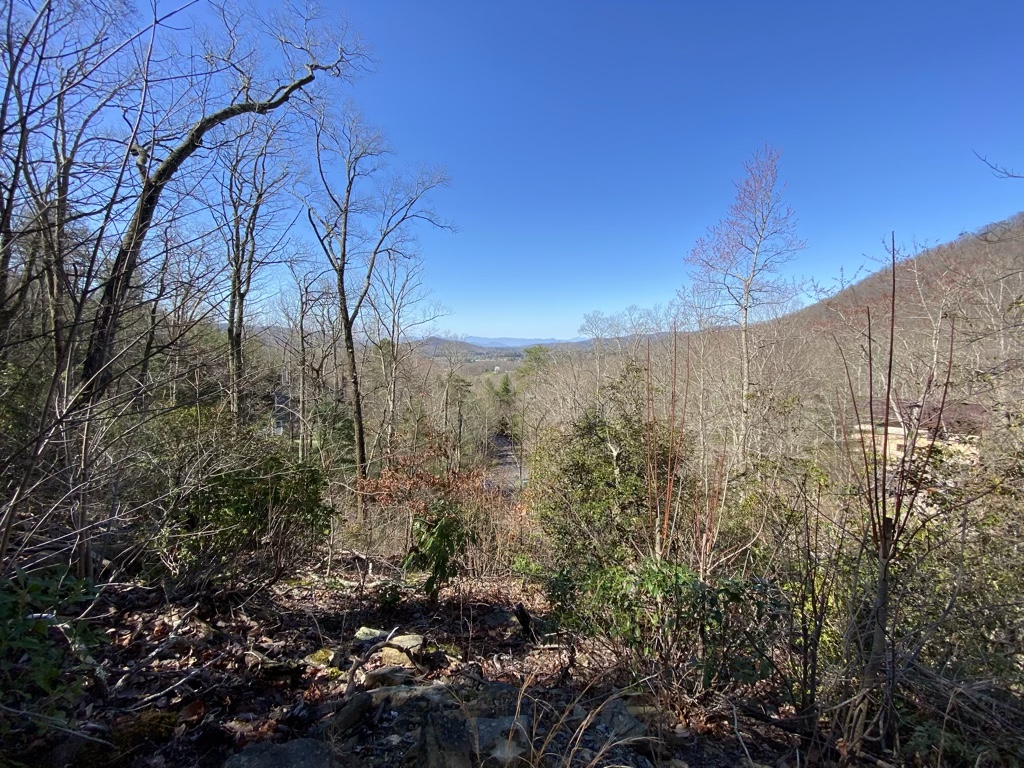 Looking at some vacant lots for sale