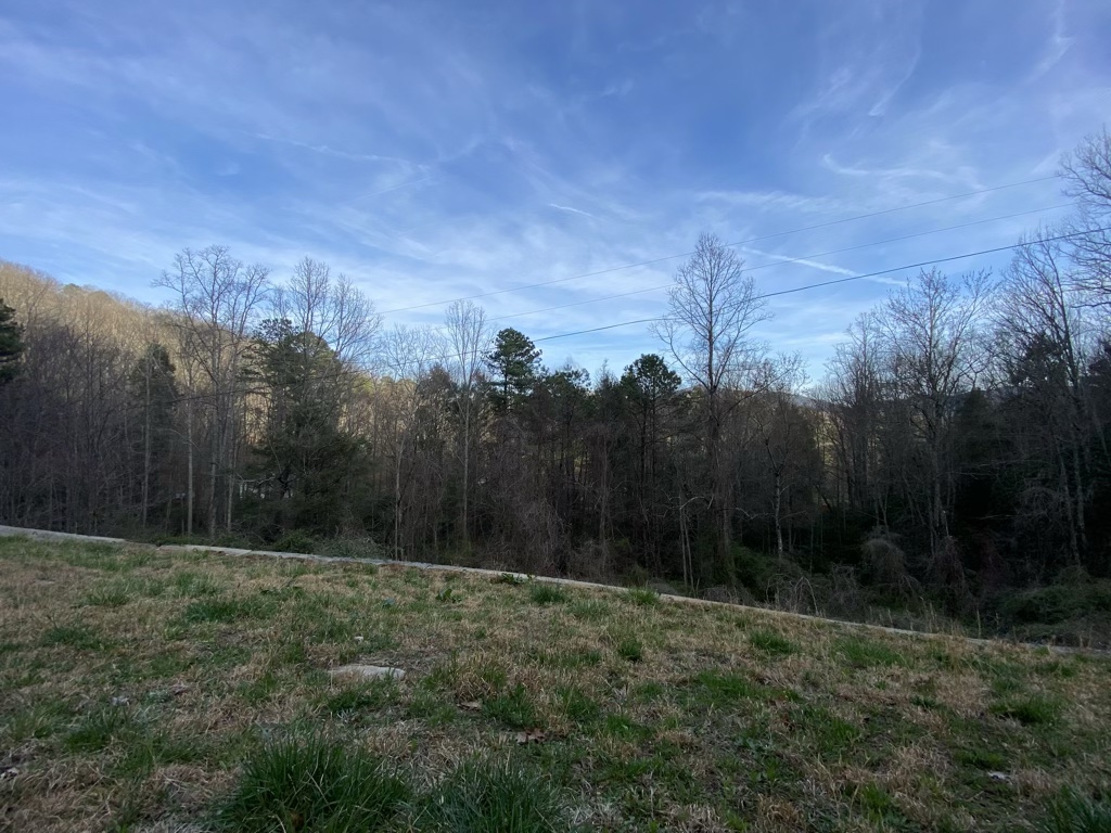 View from the backyard