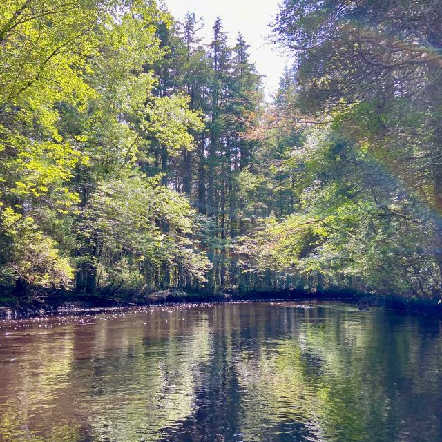 Heading downstream.