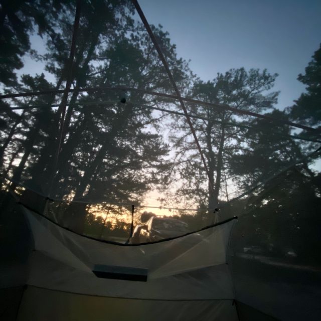 Morning sunrise.