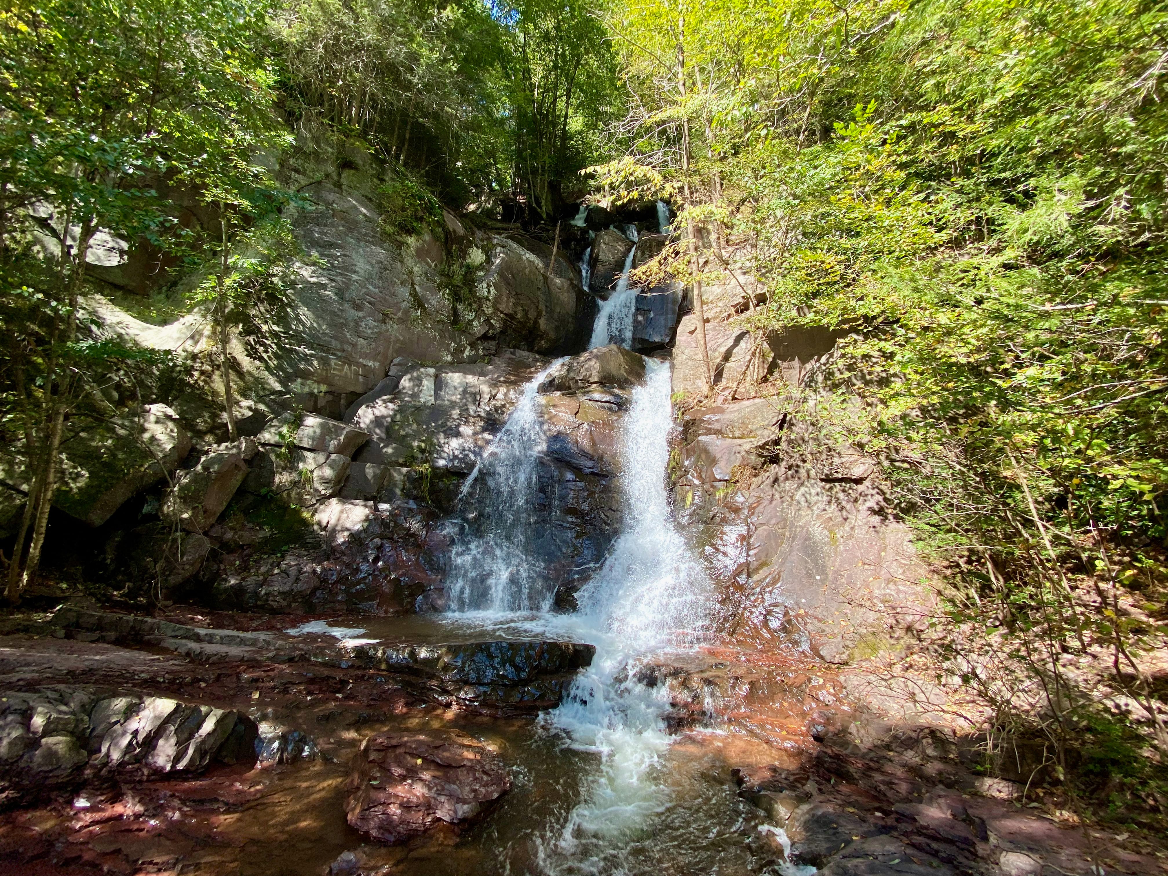 The burbling stream we stopped at for lunch