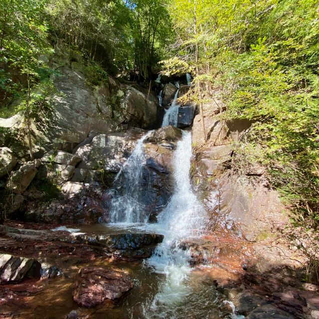 The burbling stream we stopped at for lunch