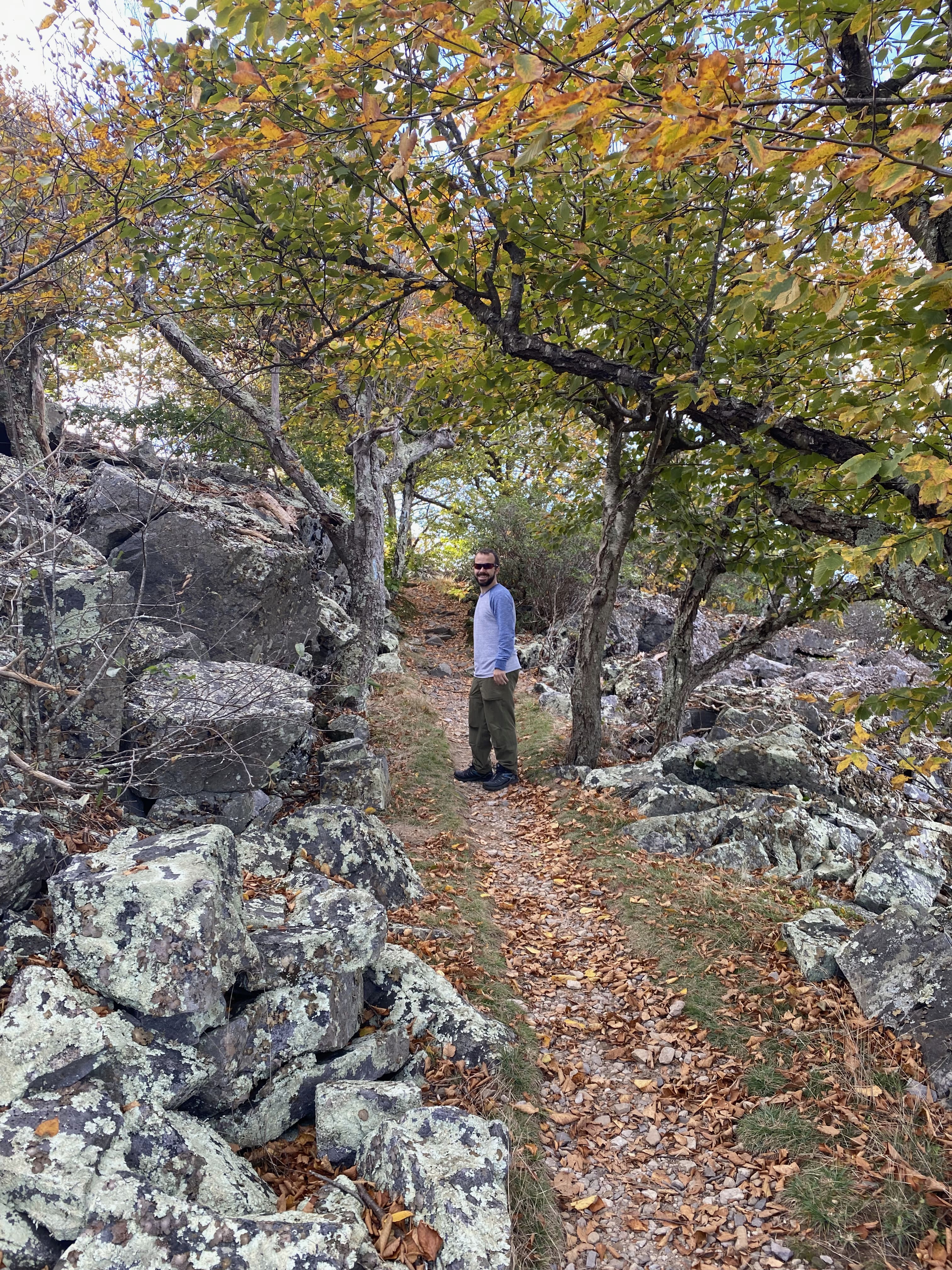 Fall foliage looking nice this time of year.