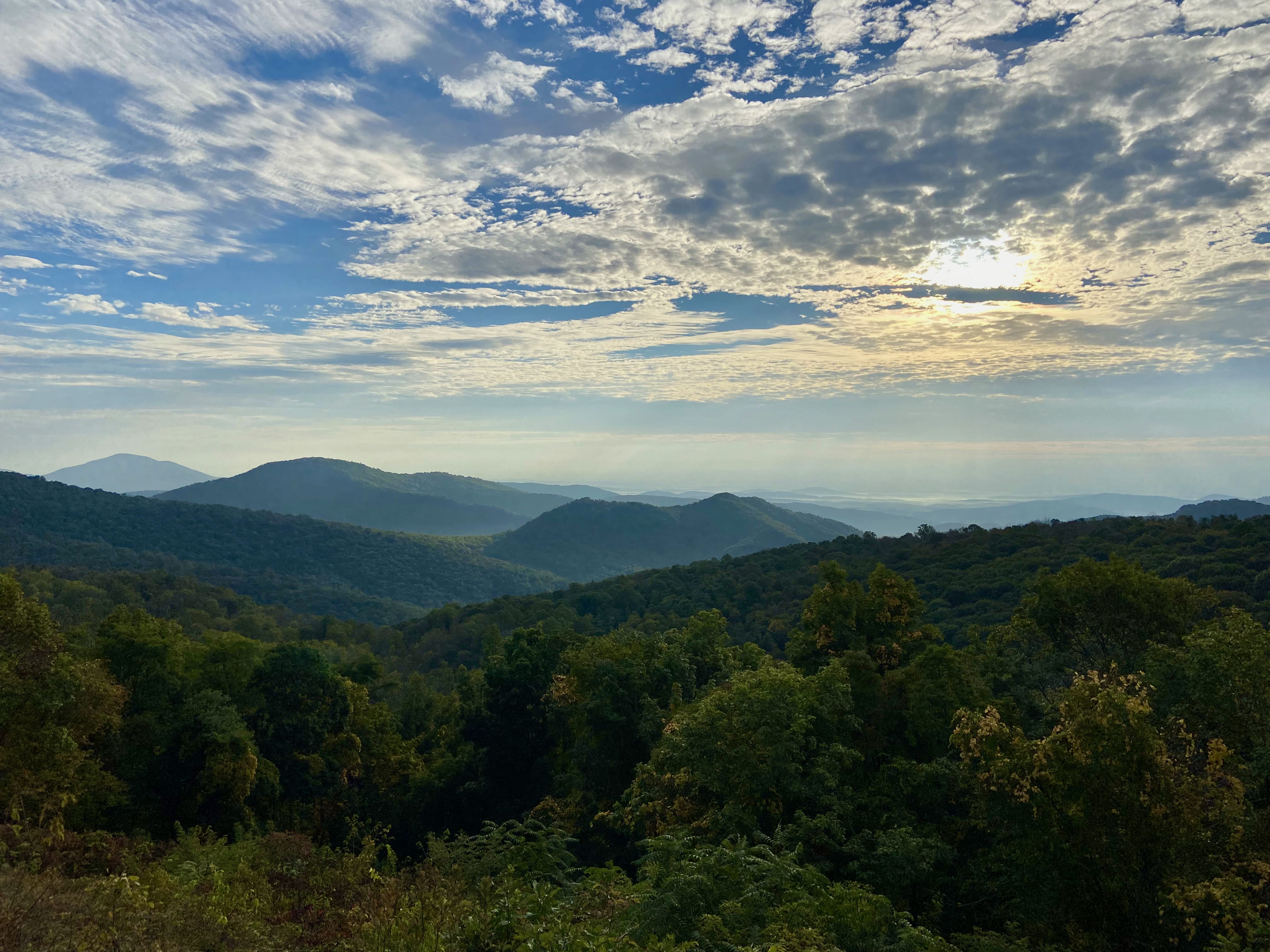 Looking out from an overlook on Skyline Drive.