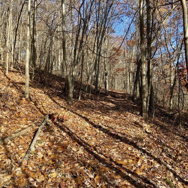 Fall is here, and most of the leaves have now come down - making it hard at times to follow the trail!