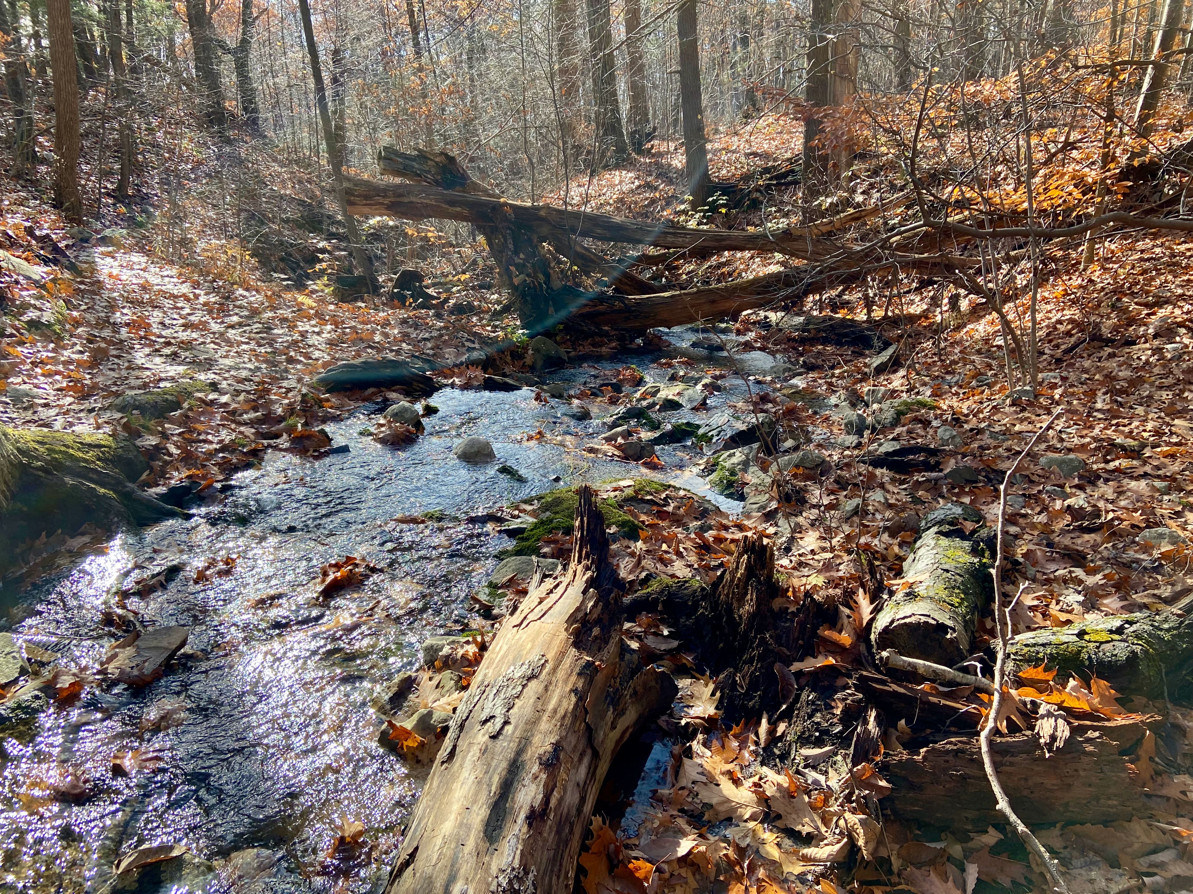 Only one stream crossing today.