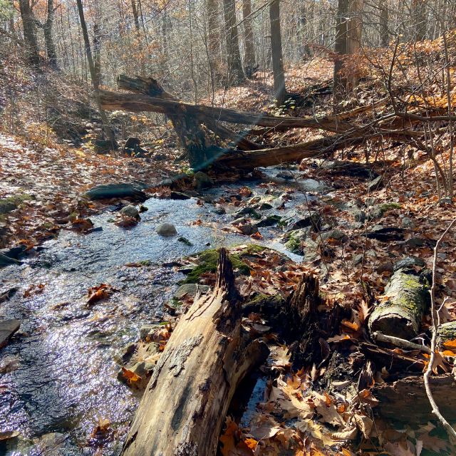 Only one stream crossing today.