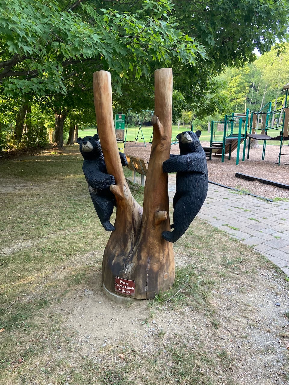 This was Taconic's playground...I suppose it makes the real bears feels less along?  While they're eating the children in the playground?