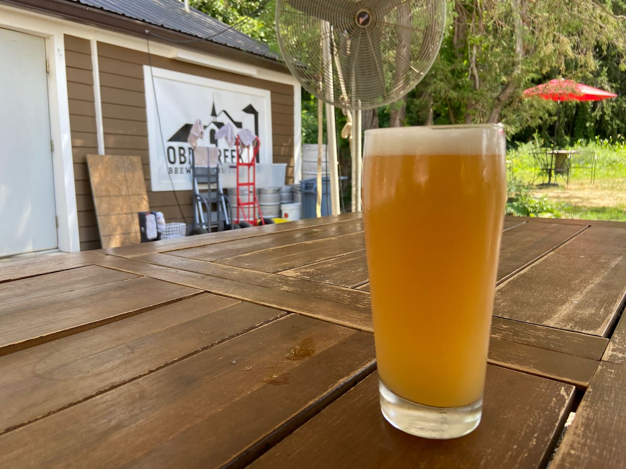 Obercreek Brewing's juicy and flavorful Riwaka Blonde Ale (which is what they should have named it!)