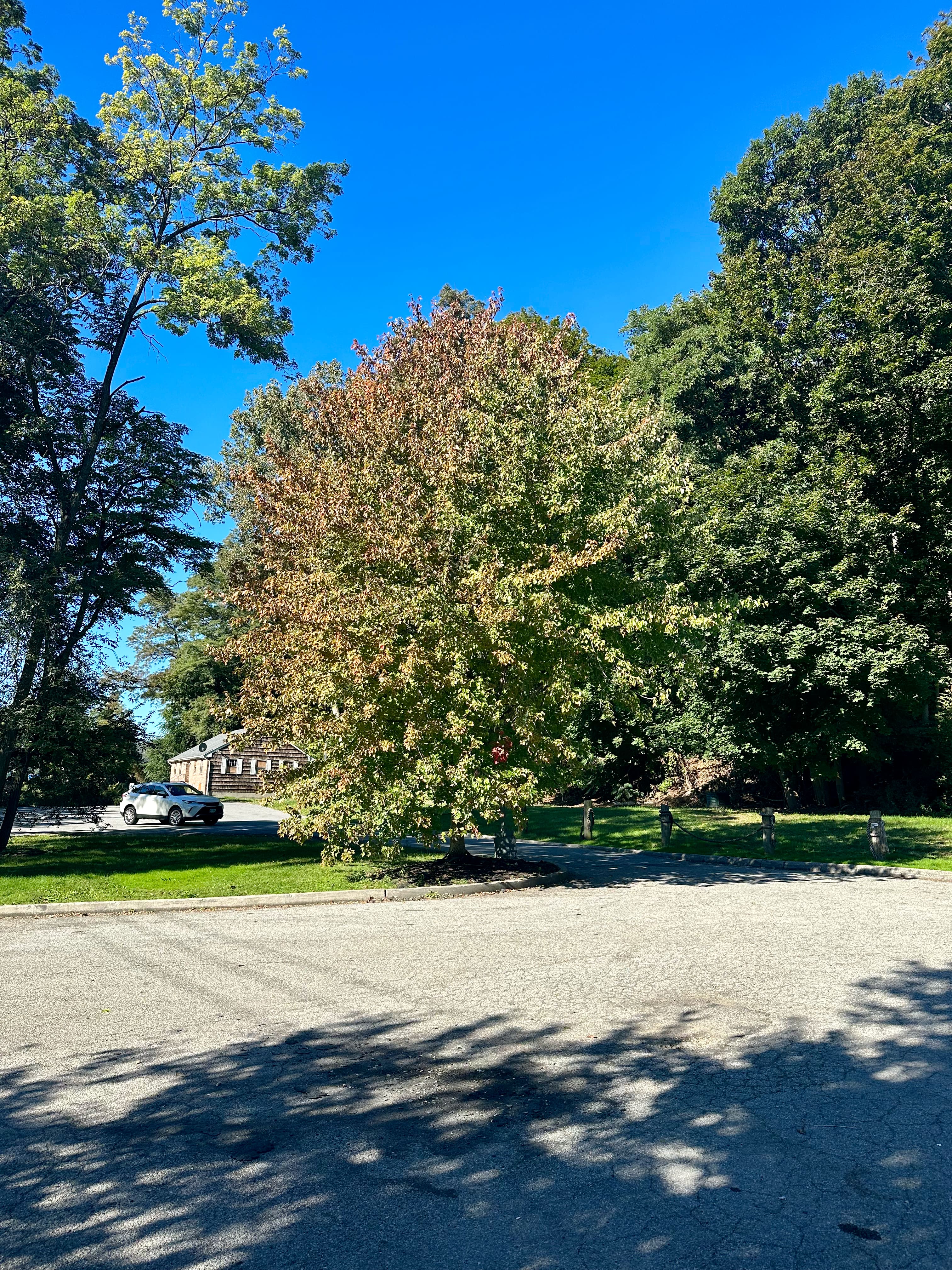 Heading north, and the first signs of fall color.