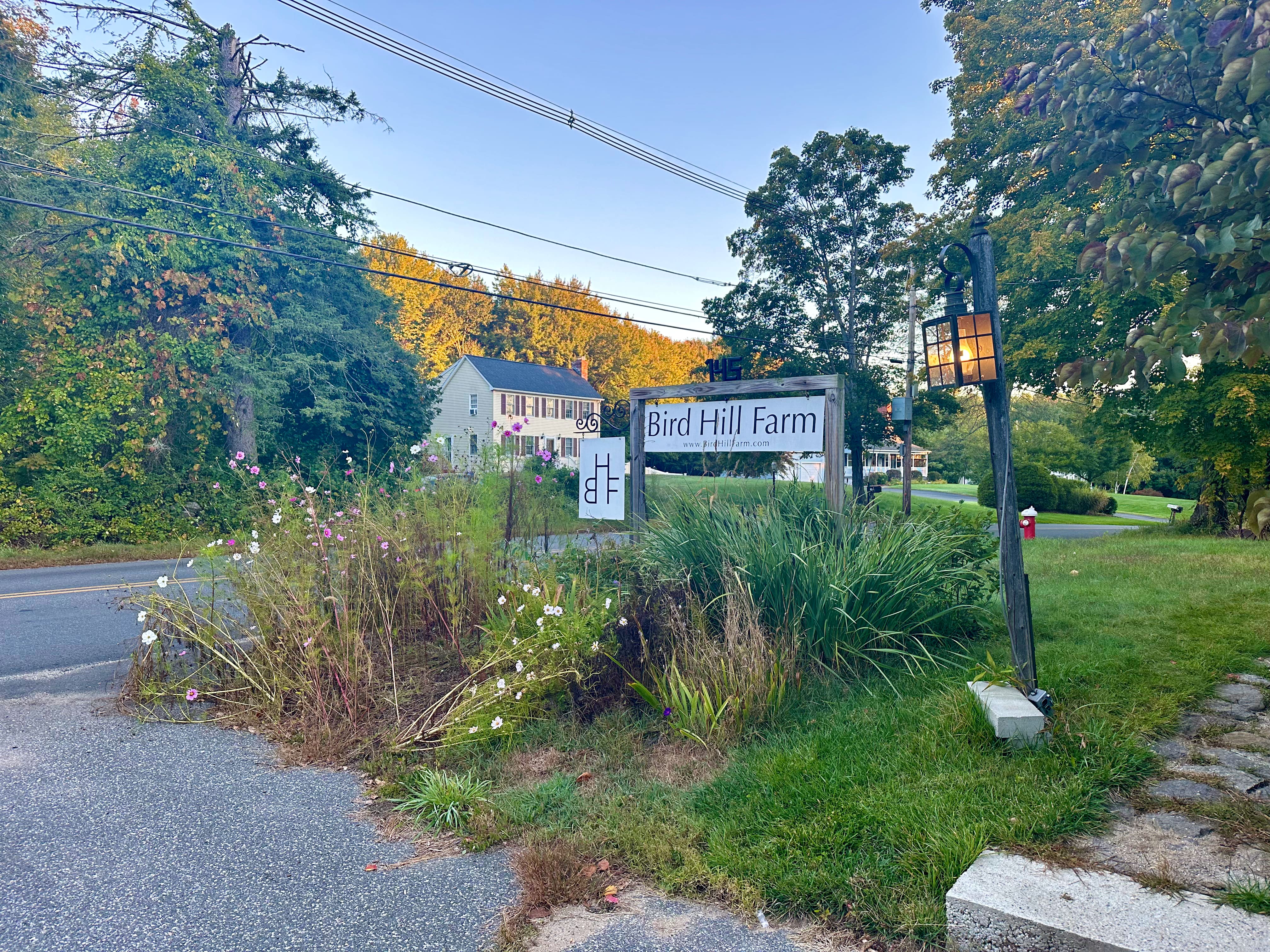 Sun rising in the morning.