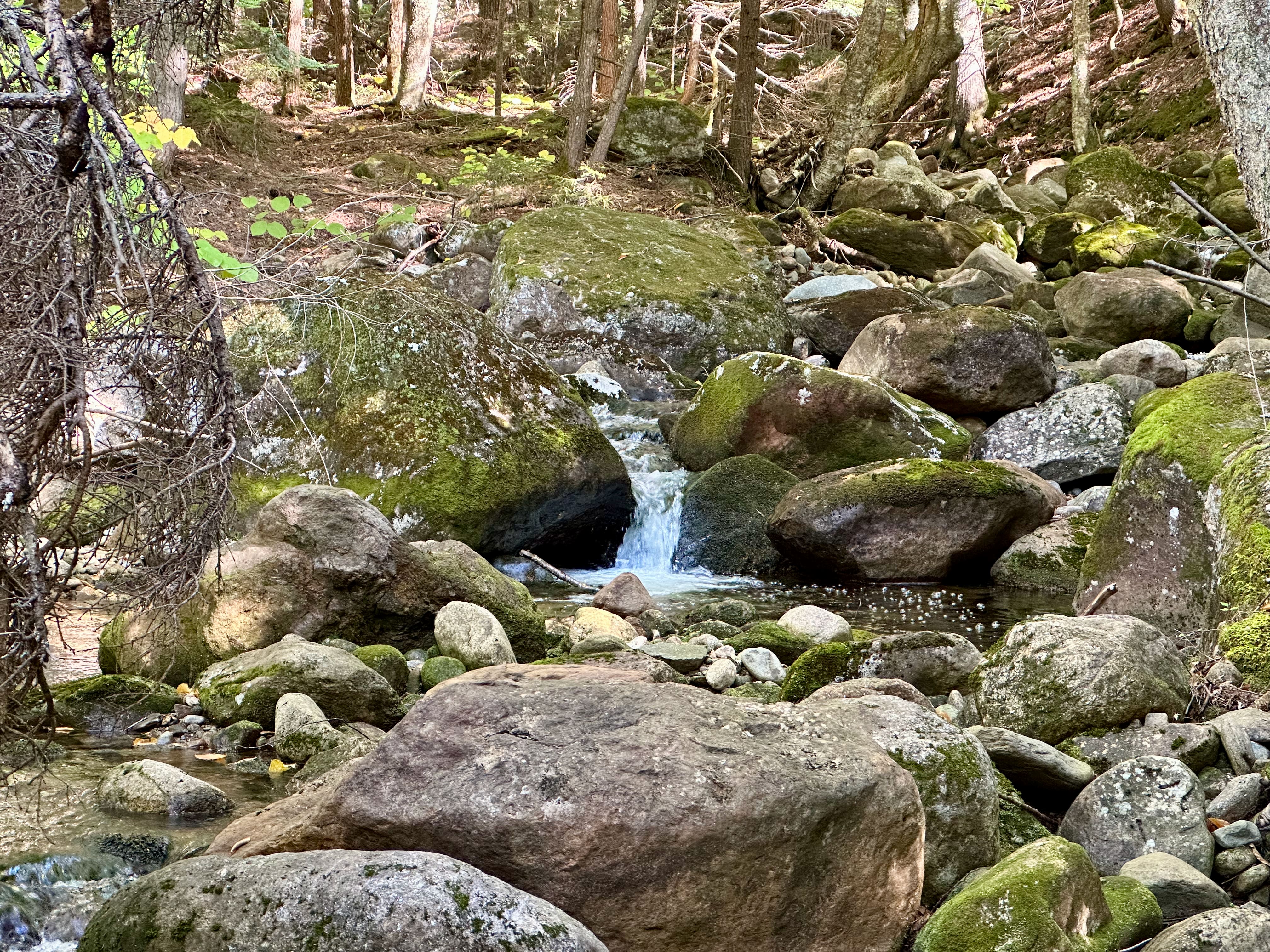 Starting off we walked along a stream.