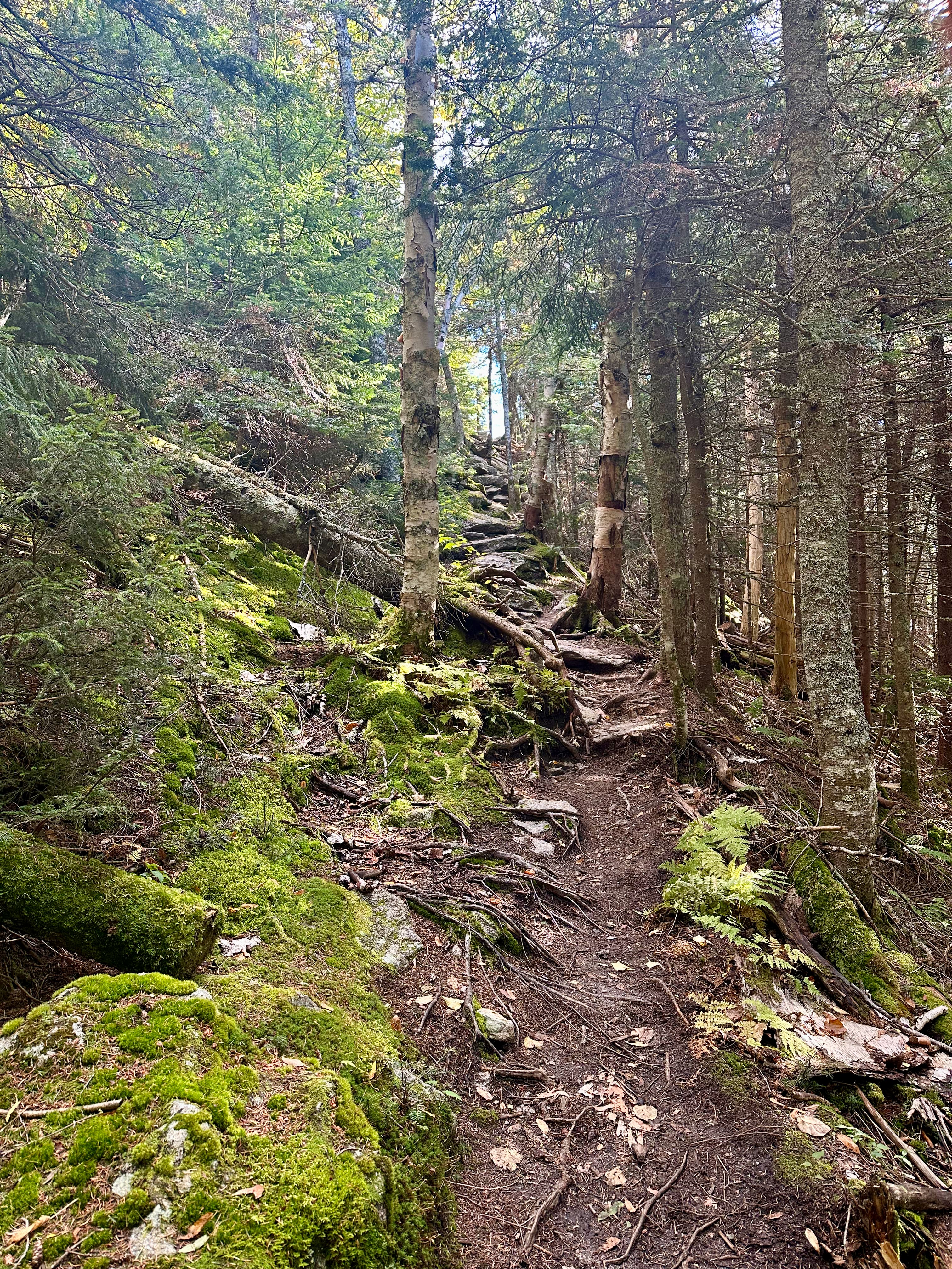 I could see the top, and felt elated.