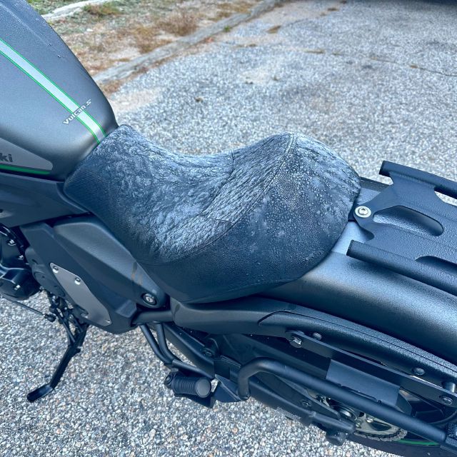 Frosty seats this morning, before the sun reached them and quickly melted it all.