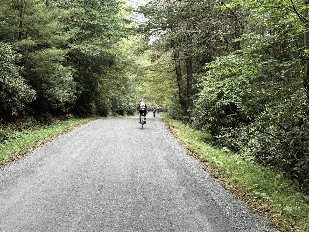 The roads looked like this all day long.  Flow-y gravel double track.