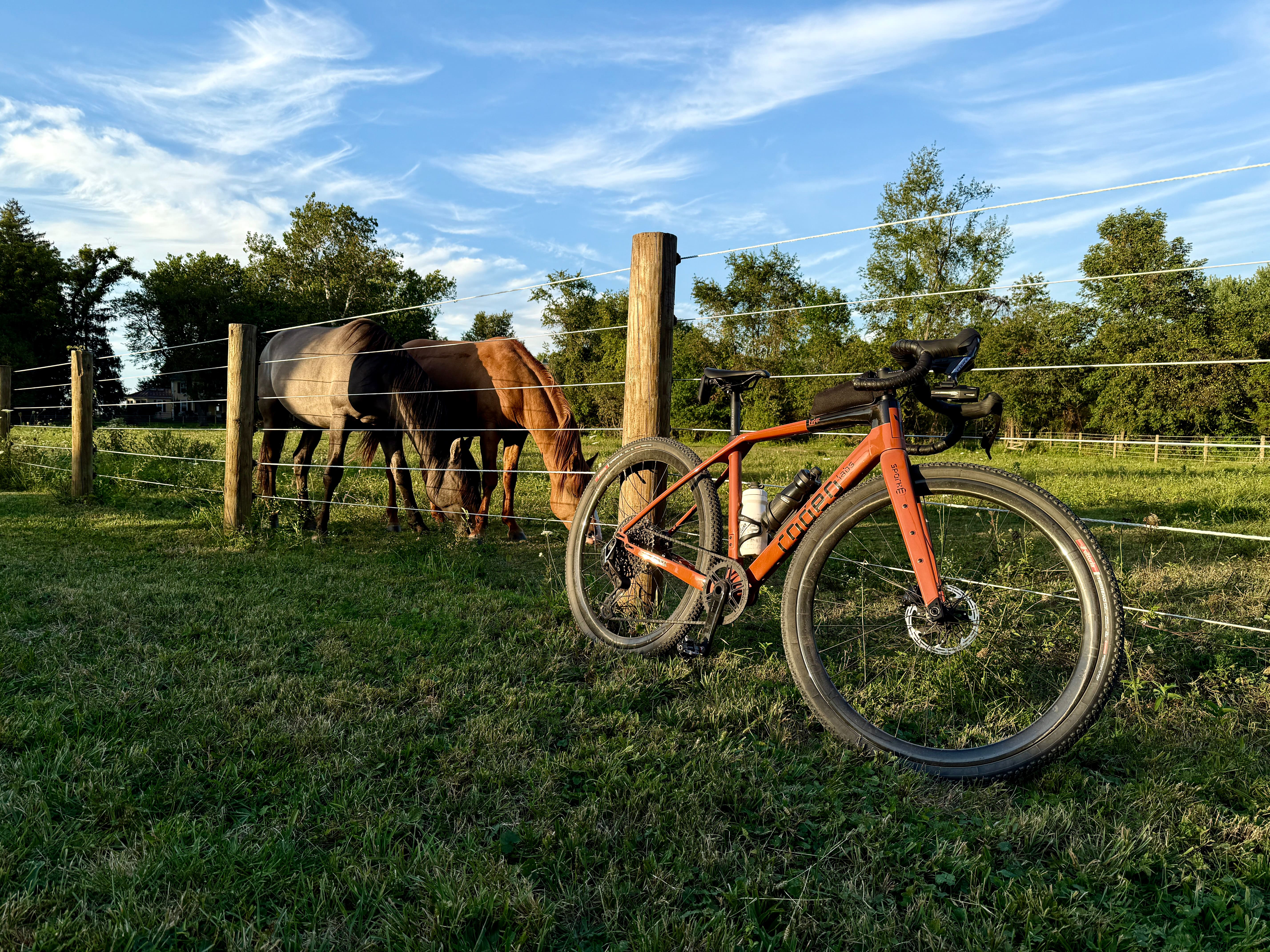 Loving my gravel bike.  Exploring some local trails, and letting the wildlife know they've been outmoded by bikes.