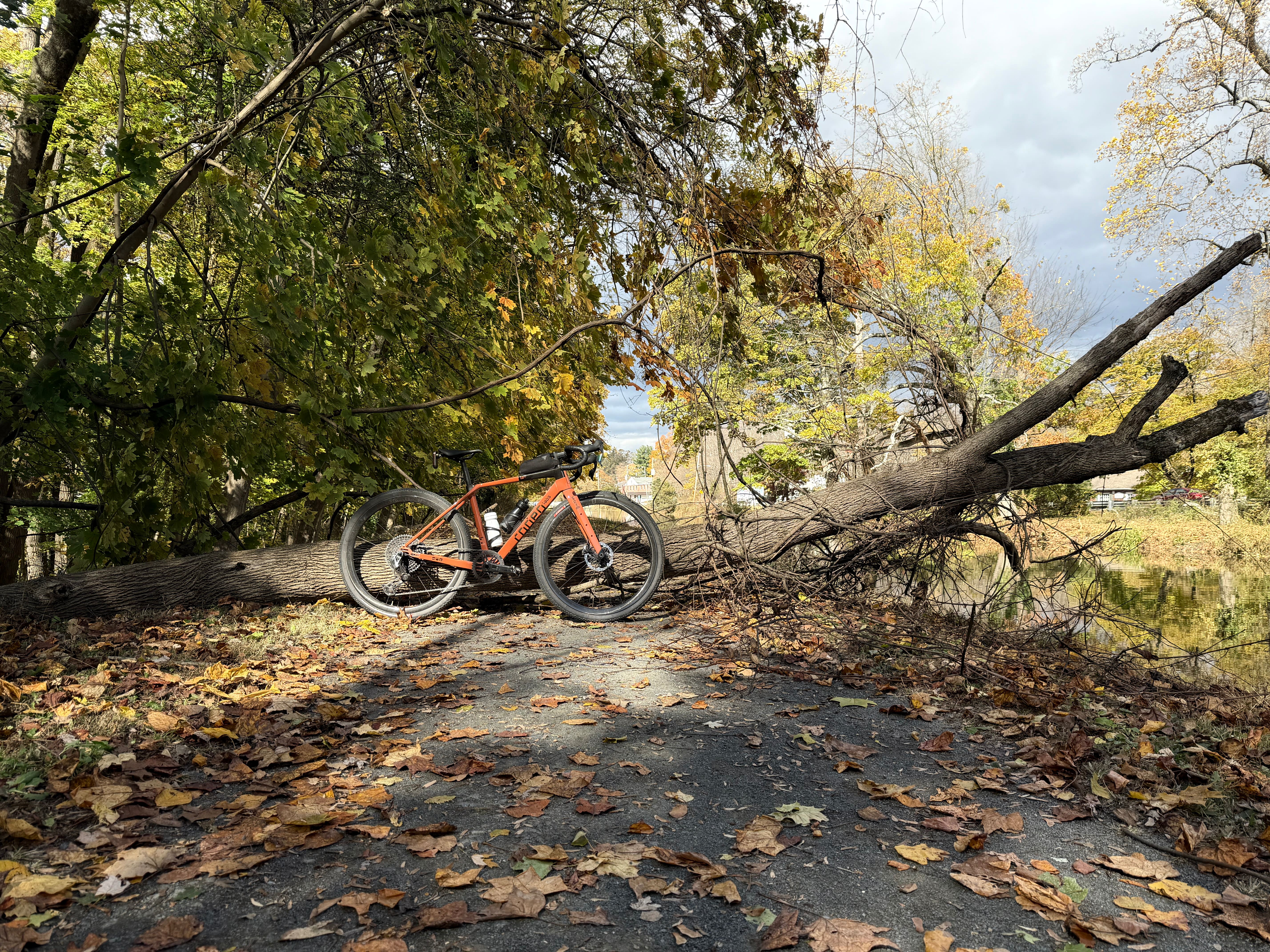 Had some rain come through, followed by high winds.  Made a mess of the canal path as this was the third or fourth tree I had to hike-a-bike over.
